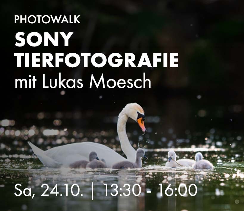 Sony Tierfotografie mit Lukas Moesch, Sa, 24.10. 13:30 bis 16:00 Uhr