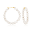 White; Currently Selected