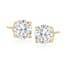 14kt Yellow Gold; Currently Selected