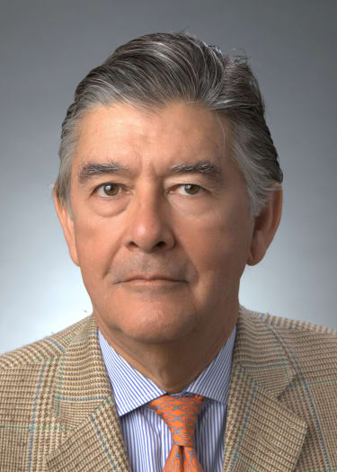 Victor Vilaplana Victor Vilaplana: of counsel at Foley & Lardner