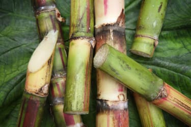 Sugarcane Brazilian sugar producer secures creditor approval for second restructuring plan