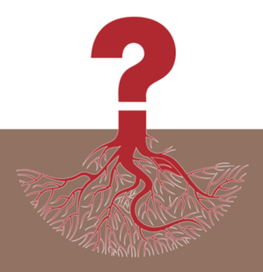 Should I stay or should I grow?