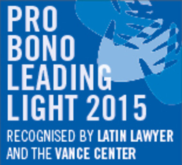 Pro bono survey: Leading lights