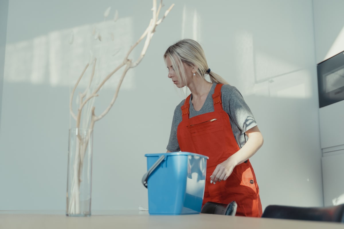 Cleaning — Cleaner arrives at location