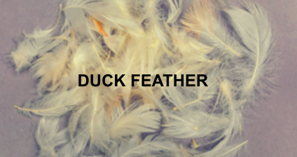 Duck-feather