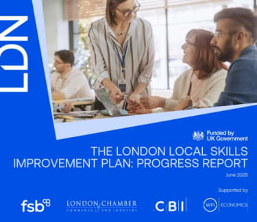 LSIP Progress Report June 2025