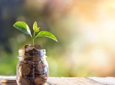 Green Grants and Loans