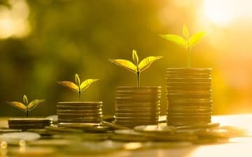 Chamber Finance; growing wealth