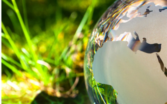 Globe in grass