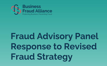 Fraud Advisory Panel Strategy Review Response