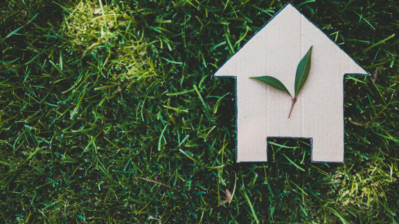 Carbon Footprint Reports