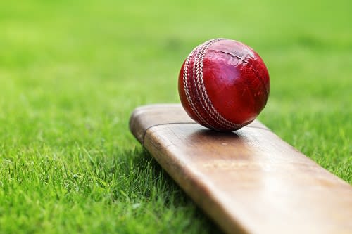 Cricket ball on a bat