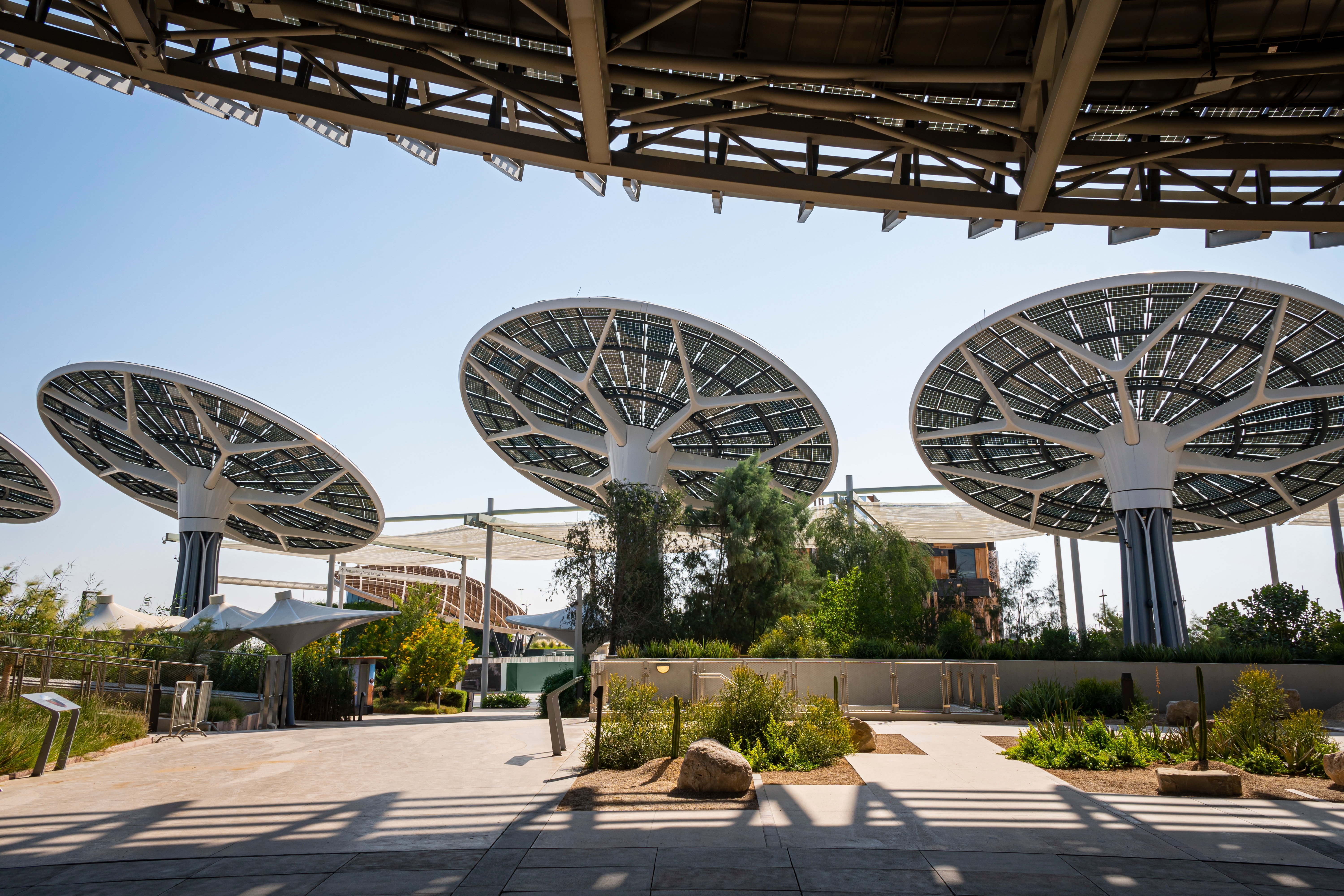 Solar Panels in UAE