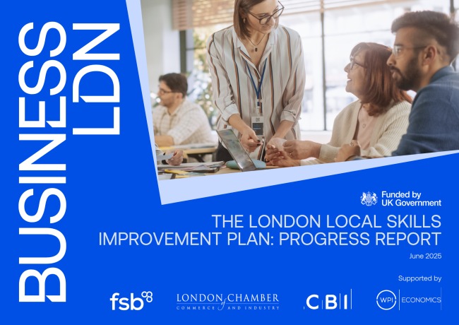 LSIP Progress Report 2025