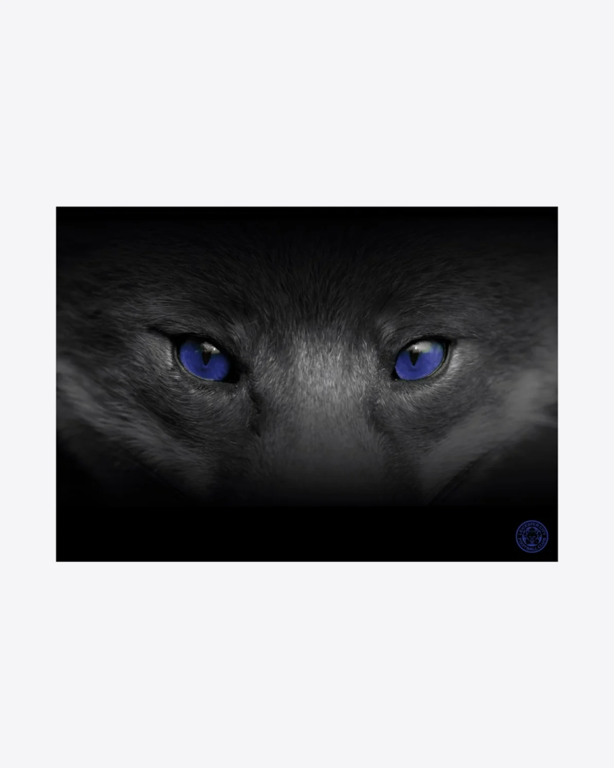 Leicester City A3 Poster - Fox Eyes