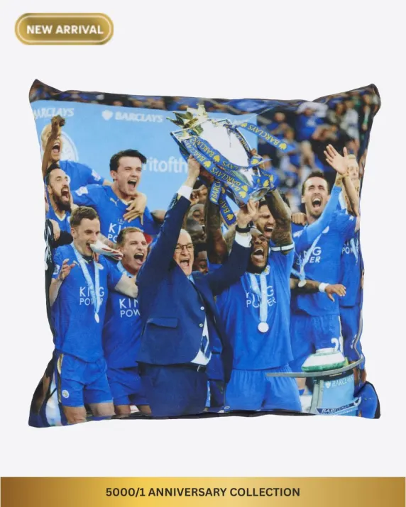5000/1 Anniversary Collection - Cushion