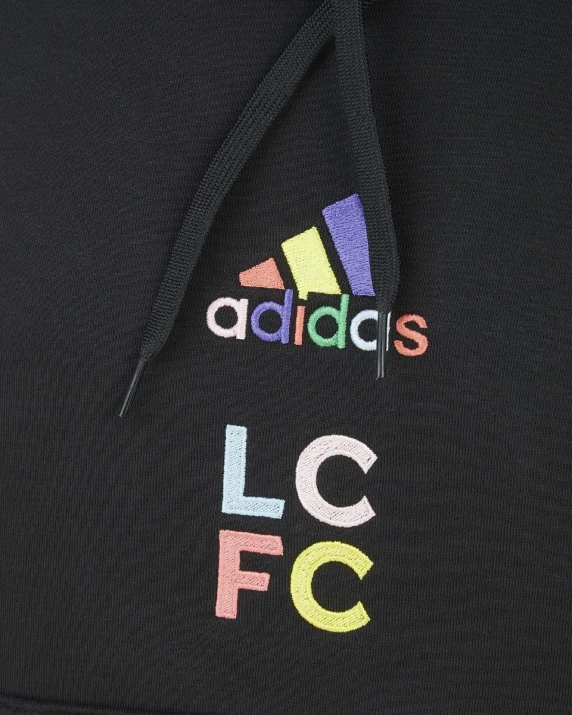 adidas Rainbow Hoody