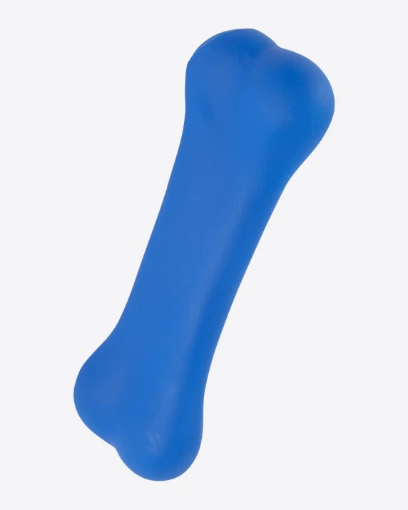 Leicester City Squeaky Pet Bone