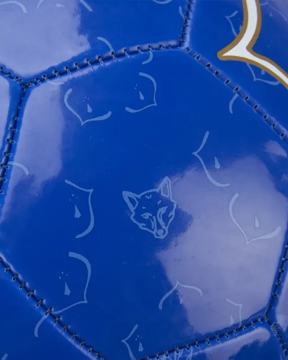 Leicester City Women Team Football