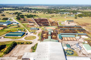 Bosque Ranch Overview