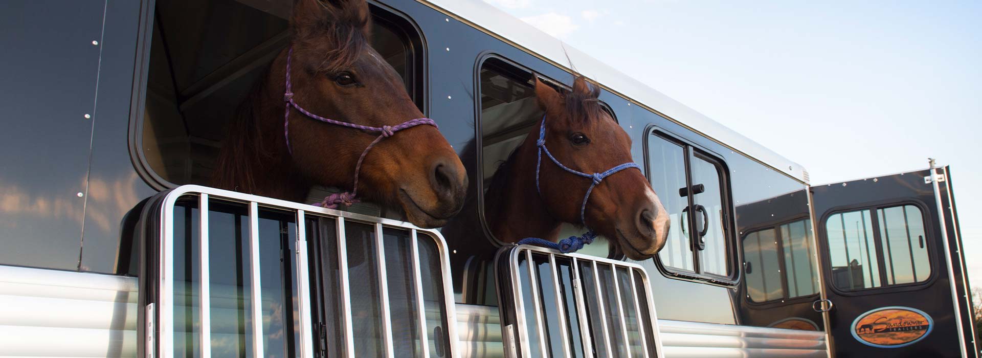 Horse Trailer Windows