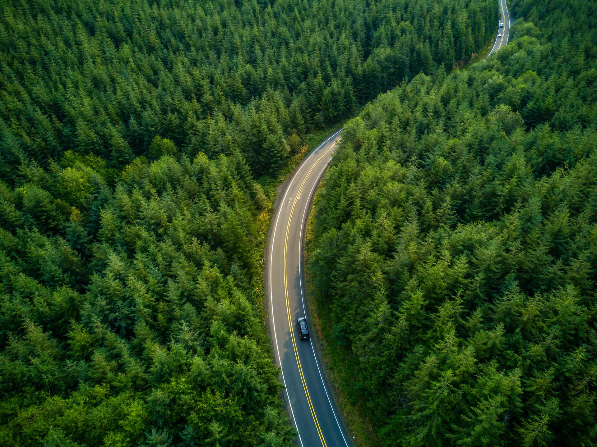 Car driving down a winding road in a forest