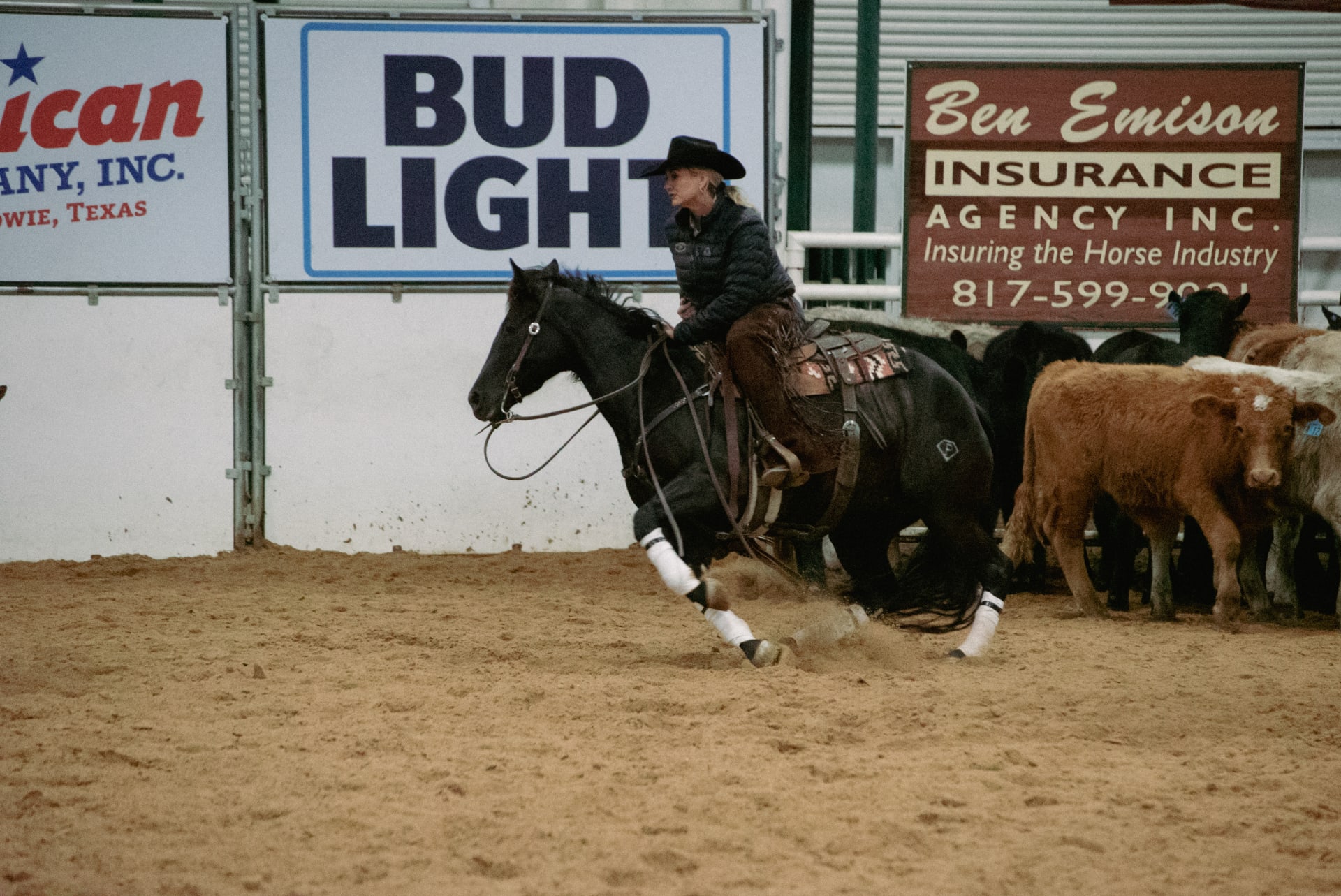 Bosque Ranch Horse at Show