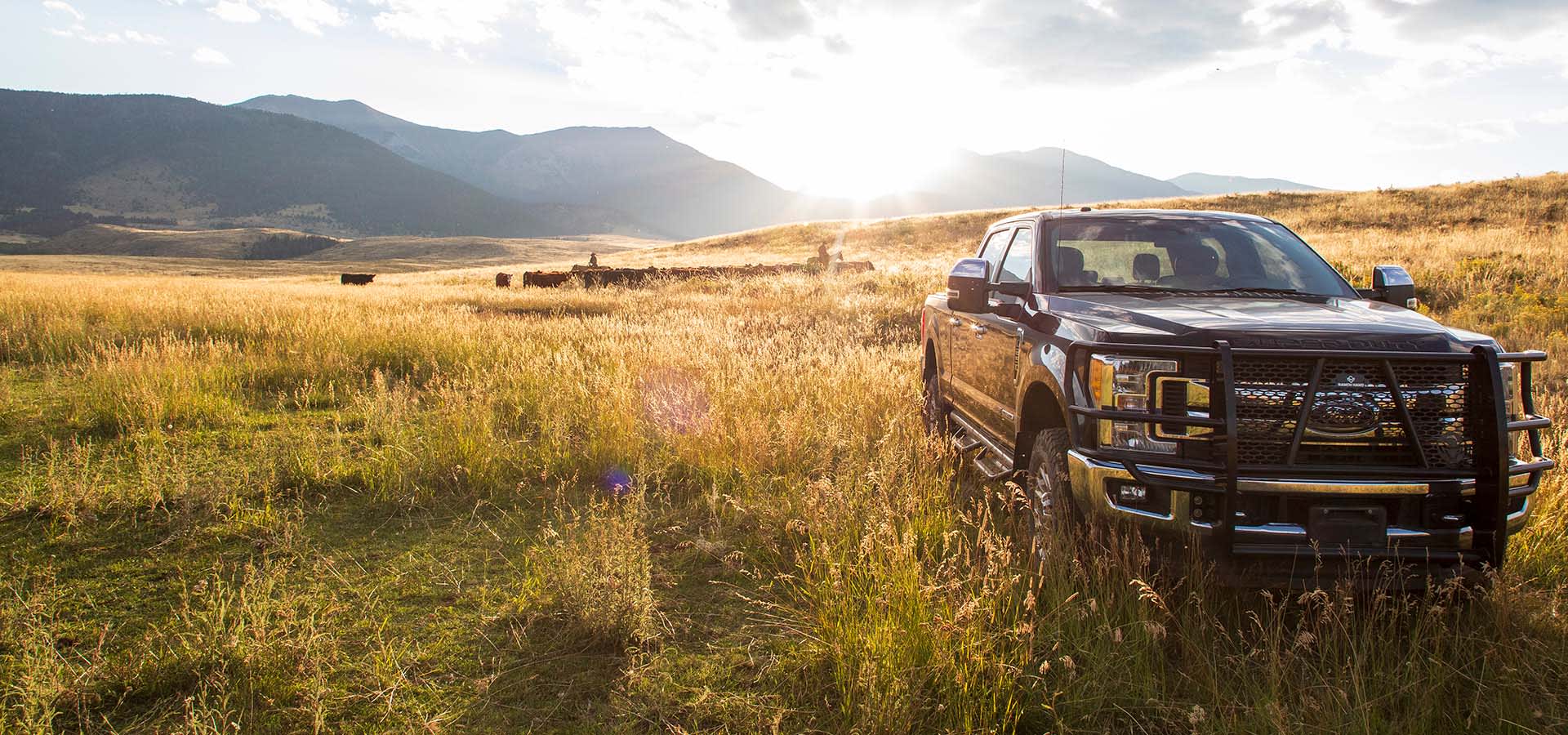 Ford Truck with Ranch Hand Grille Guard Field