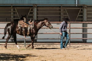 Bosque Ranch January