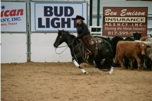 Bosque Ranch January