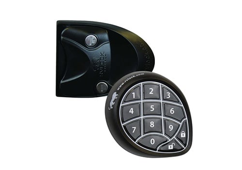 Entry Door Locks