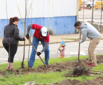 Lippert Components Plants Trees for Arbor Day