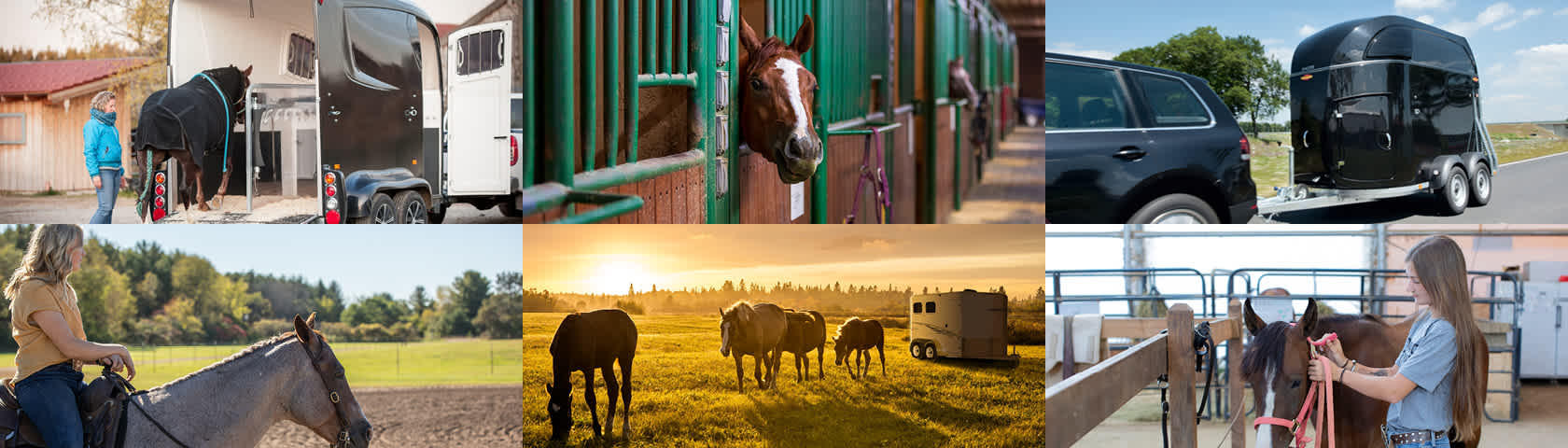 Equestrian Collage