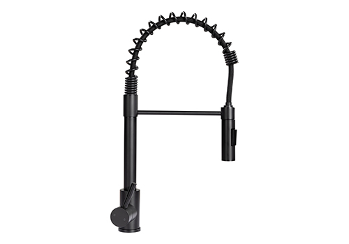 Kitchen Faucets