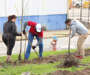 Lippert Components Plants Trees for Arbor Day