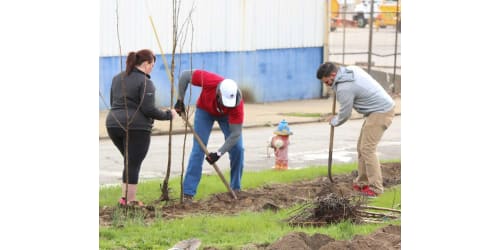 Lippert Components Plants Trees for Arbor Day