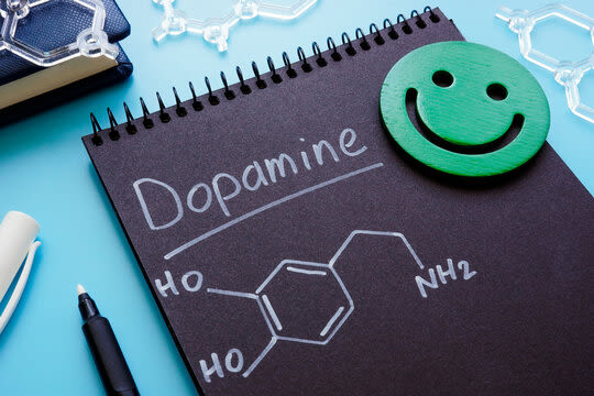 Healthy Dopamine Habits