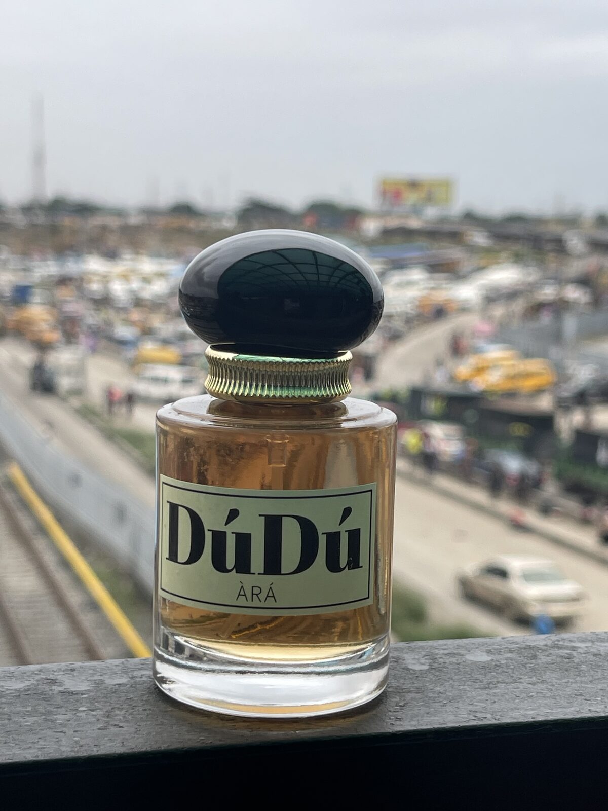 DúDú above the streets of Lagos