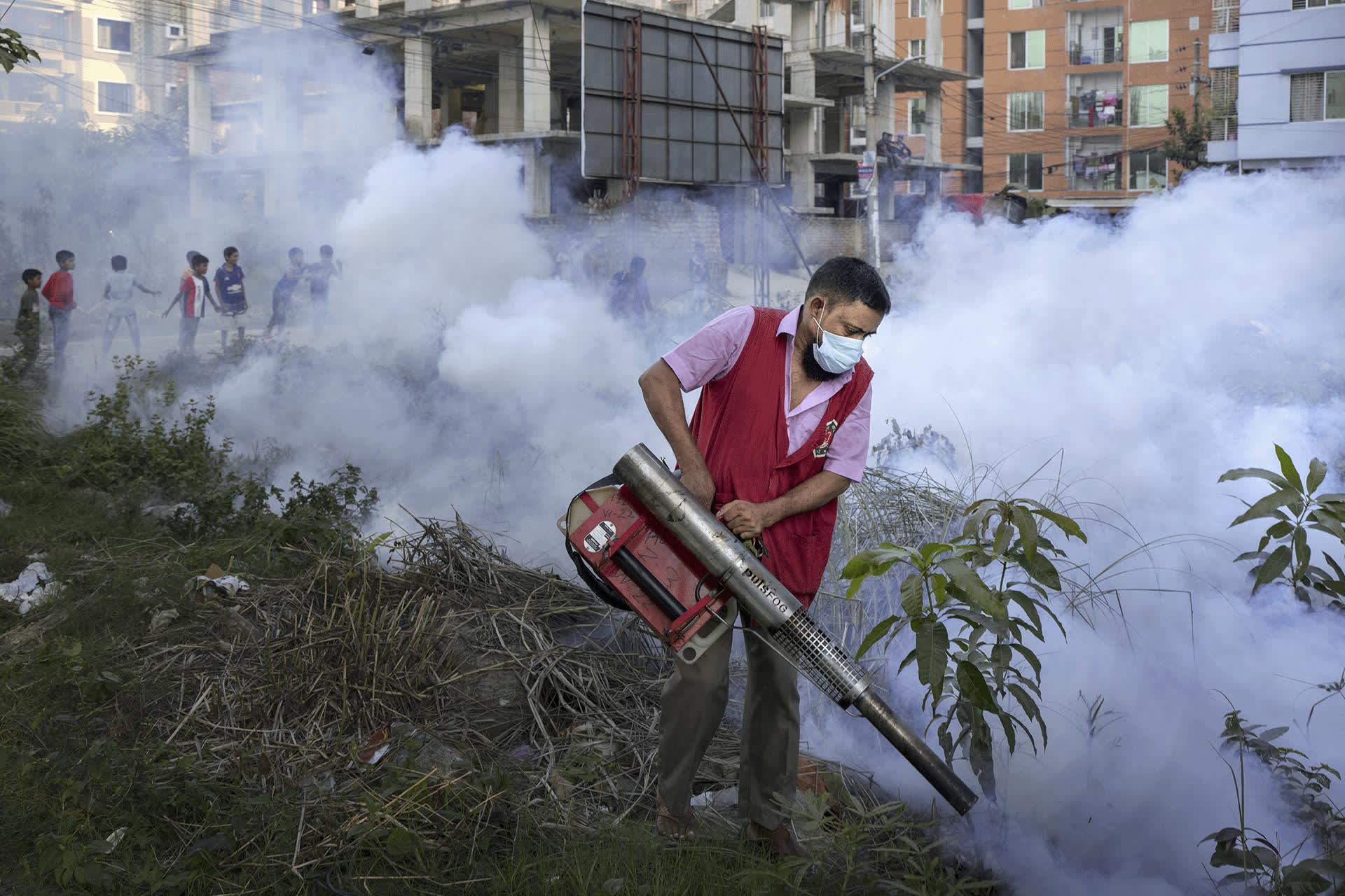 Bangladesh’s Dengue Crisis Is Bigger Than Mosquitoes: Why Spraying Alone Will Not Be Enough