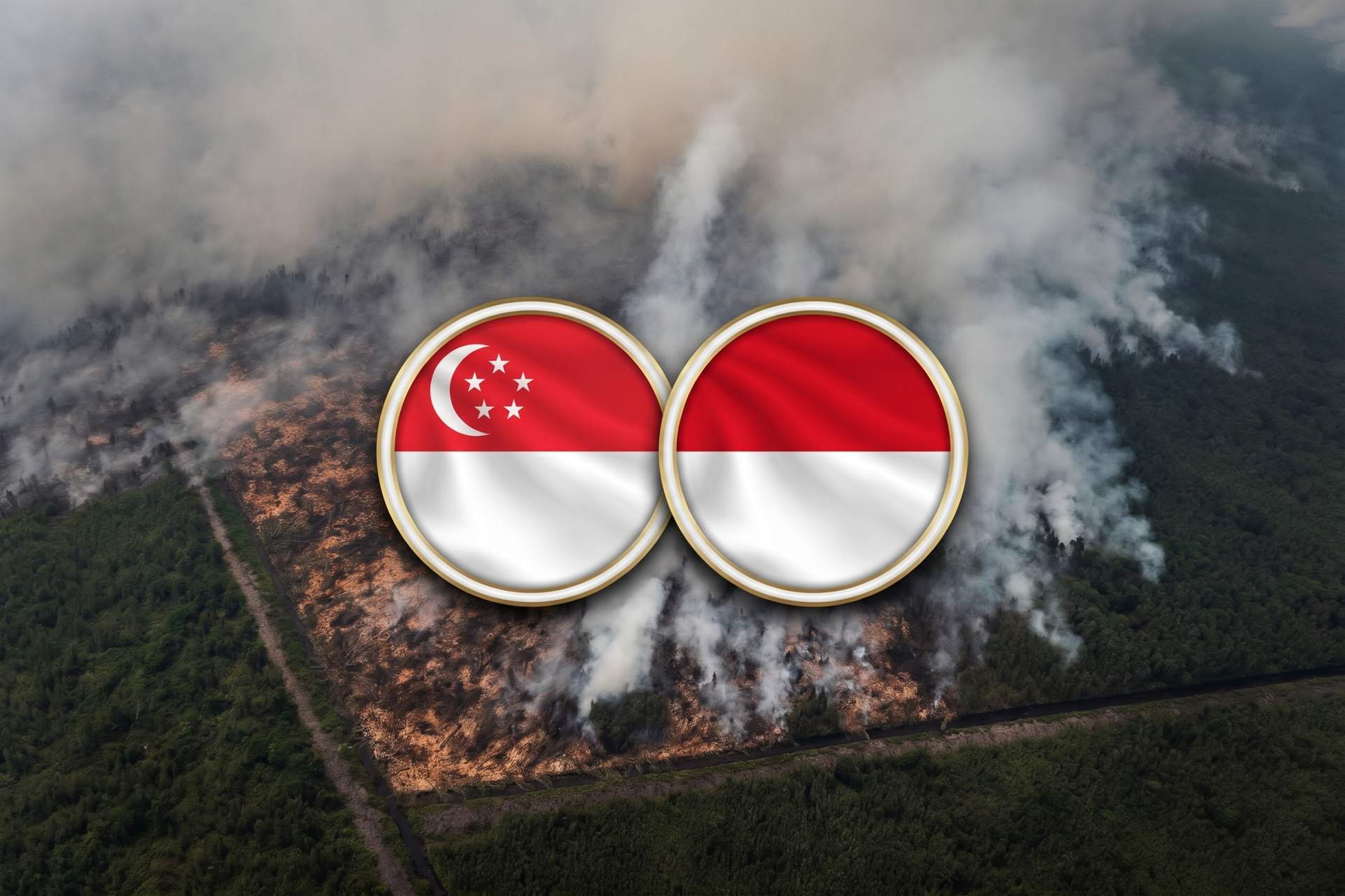 Singapore and Indonesia Join Forces to Hold Companies Accountable for Forest Fires