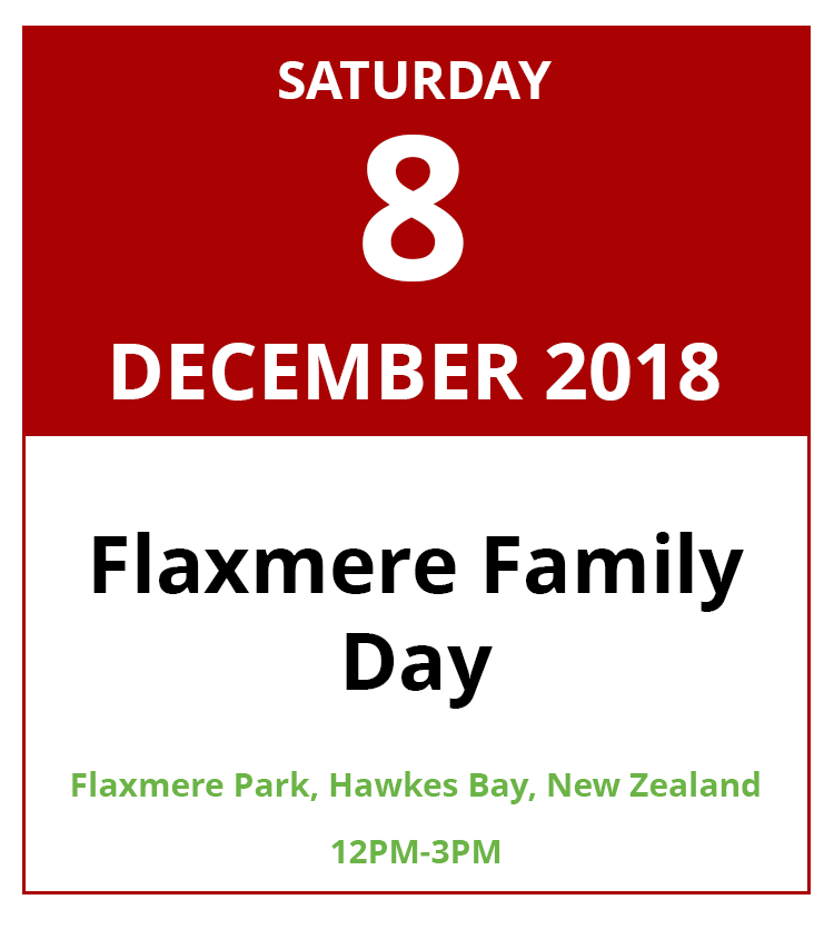 Flaxmere Family Day