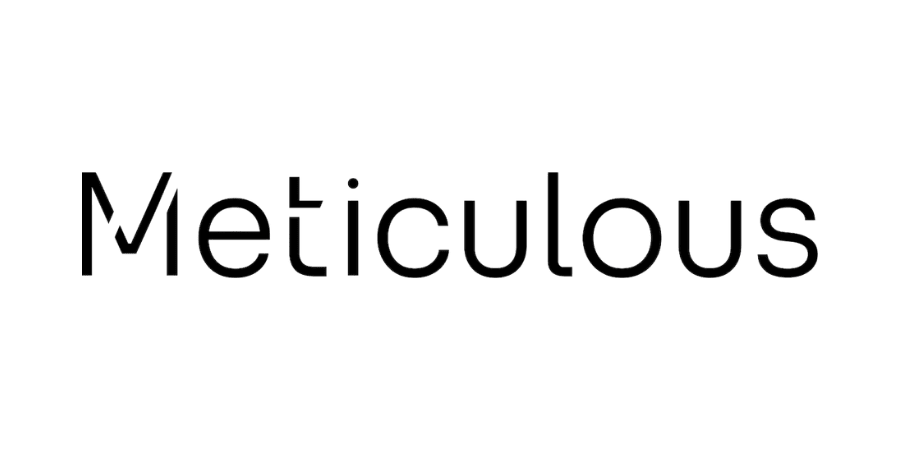 Meticulous LeadDev