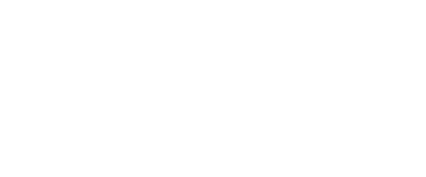 2000 plus
