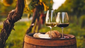 Taste new terroirs with wine from unexpected regions