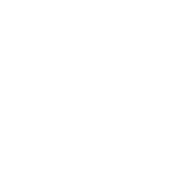 brakes icon 01