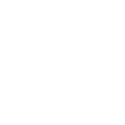 Auto Repair