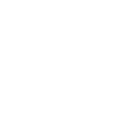 Wheel Alignments