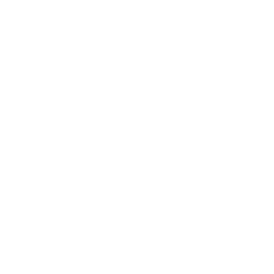 Steering Repair