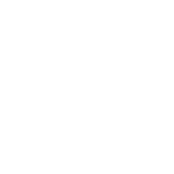 Exhaust System