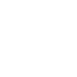 Engine Repair